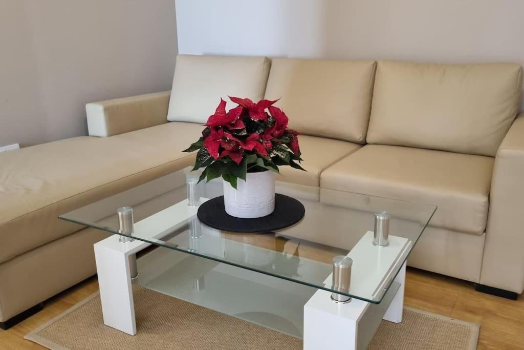 Bh & Semiramida Ski Apartment Borowec Zewnętrze zdjęcie